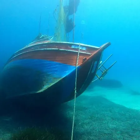 Icampjal Camp And Bar Camping Jal