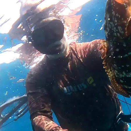 Icampjal Camp And Bar Camping Jal