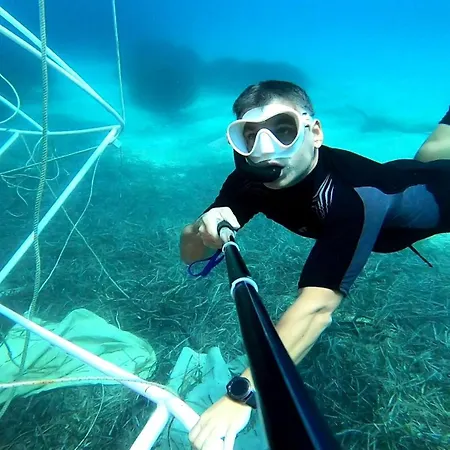 Icampjal Camp And Bar *