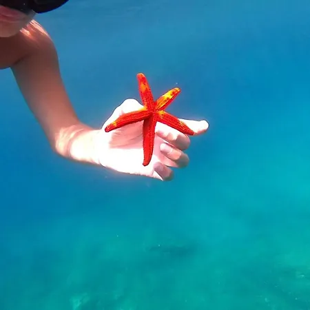 مكان تخييم Icampjal Camp And Bar *